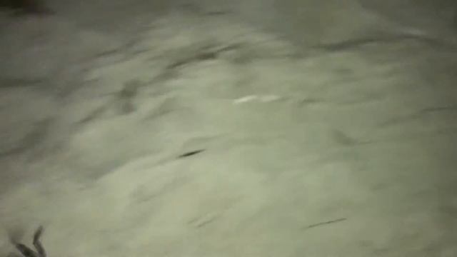 Пока, мистер краб! смотреть онлайн