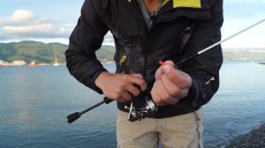 Майский Рокфишинг. Ставрида на форелевые приманки. Рыбалка в Новороссийске.