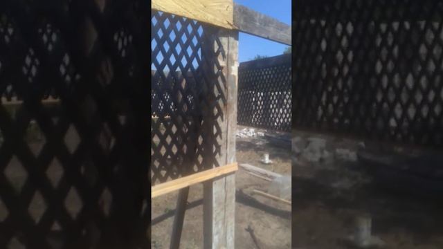 беседка своими руками этоговой вид