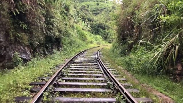 Journey to Badulla - Sri Lanka смотреть онлайн
