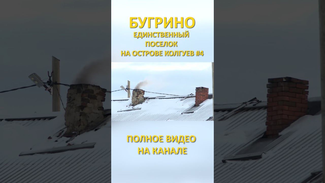 БУГРИНО КОЛГУЕВ 4 SHORTS #SHORTS смотреть онлайн