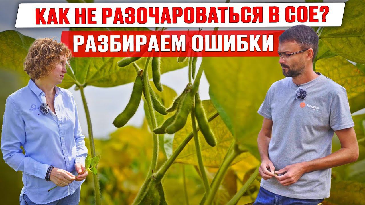 Соя: разбор ошибок | Сорта сои | Сроки сева и обработки | Введение в севооборот | Возделывание сои смотреть онлайн