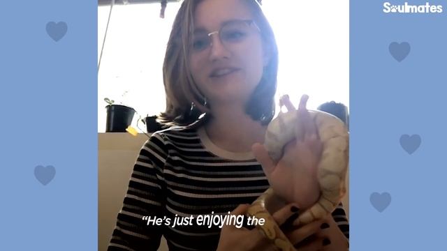 This Ball Python Hangs Out in a Crochet Cave | The Dodo Soulmates смотреть онлайн