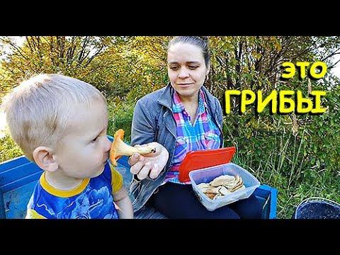 ЭТО ЛИСИЧКИ НАПРИМЕР.. смотреть онлайн
