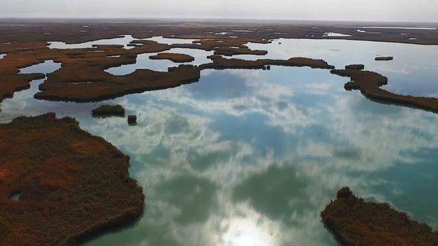 #Балхаш Дельта реки ИЛИ. Relax video: Delta of River ILI смотреть онлайн