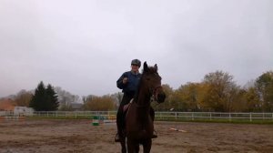 упражнения для конкурной лошади. ищем таинственный «расчет»