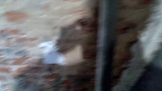 Растворный маяк с внутренним углом 90°.Сделал маяки под цементно песчаную штукатурку. смотреть онлайн