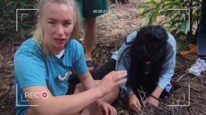 Женя Искандарова: шоурил