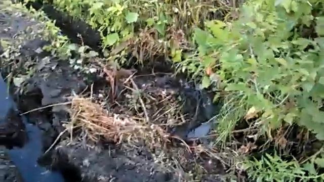 Участок. Часть 4 смотреть онлайн