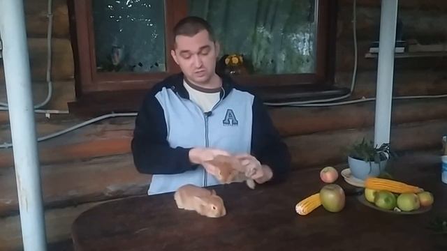 Как выбрать кролика для ребенка смотреть онлайн