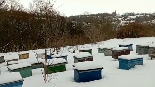 Огонь В Доме