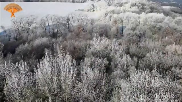 Грабли веерные Для любителей канала Грабли Live 10 02 2023 смотреть онлайн