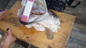 Трофей из щуки. Чучело. Трофейная щука. Делаем трофей из головы