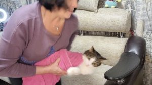 Как подстричь когти кошке?⬛/Муся сопротивляется ?