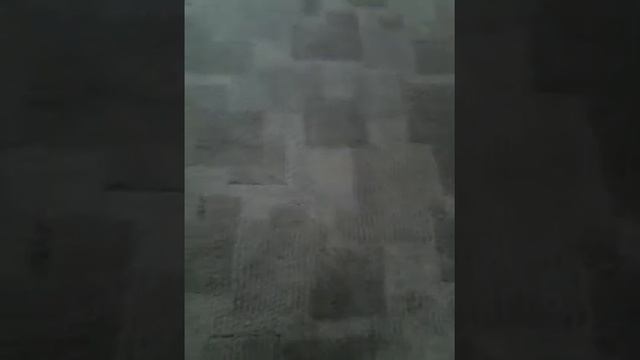 Мама заставила читать книгу всю причем смотреть онлайн