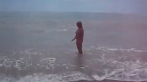 Большое сочи вишневка