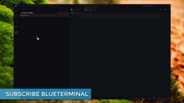 Python - Installing python | setup in VS Code | Run your 1st code | #python смотреть онлайн