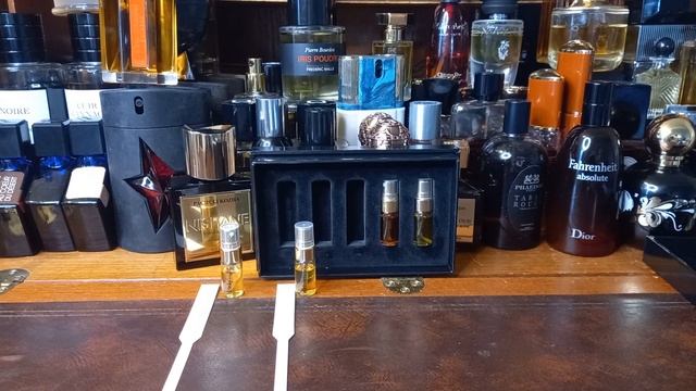 Strangelove NYC First Impressions