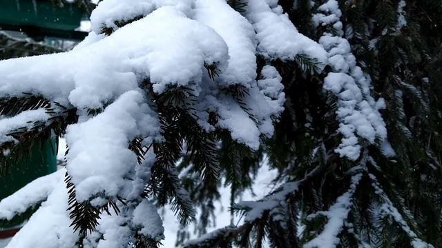 11 февраля-ДЕНЬ ЛАВРЕНТИЯ.Страшные заломы ведьм.Неблагоприятный день.Не покупайте обувь.Приметы. смотреть онлайн