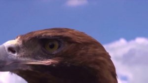 Гипнороды - гипно-погружение в мягкие естественные роды ✨