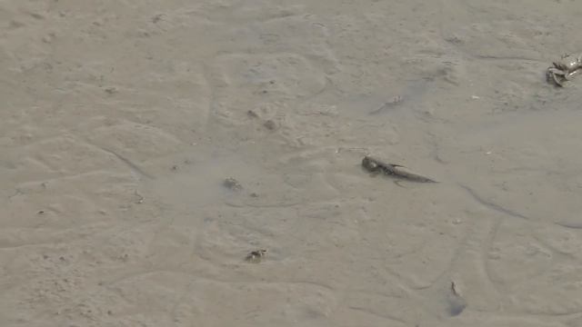 Путешествие в Китай #11. Шеньчжень. Набережная смотреть онлайн