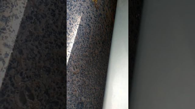 subaru b4, clutch noise after clutch change. смотреть онлайн