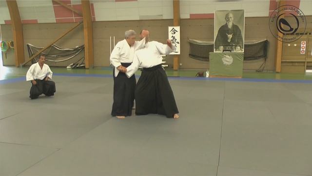 Seminar aikido, Toshiro Suga 7 dan, France, Luc Sur Mer #aikido #айкидо #семинар #toshirosuga смотреть онлайн