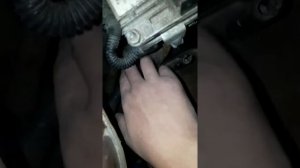 Установка подогрев на Fiat Albea