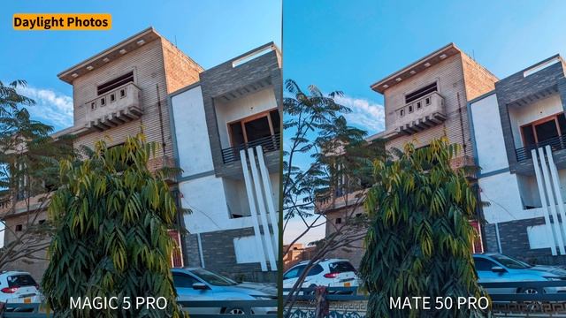 Honor Magic 5 Pro vs Huawei Mate 50 Pro Camera Test смотреть онлайн