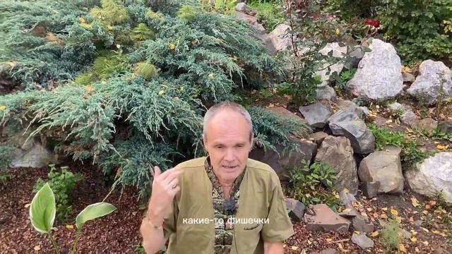 Суета сует, или медитация в движении и день откровений. 12 сентября. Луна во Льве в 27 лунный день смотреть онлайн