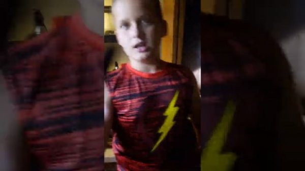 Chameleon / leopard gecko / crested gecko care