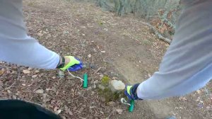 Батилиман, борьба с пеньками и спектрал