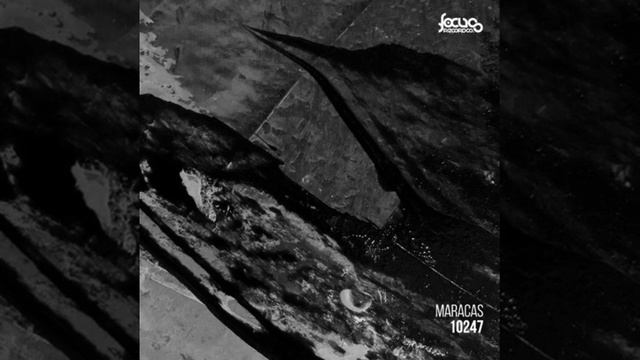 10247 - Maracas (Original Mix) [Focus Records] смотреть онлайн