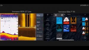 ПРОСТО И ПОНЯТНО. LOWRANCE HDS LIVE vs FS. Сравнение ТОПа с новичком, кто выиграет? Elite FS7 revie