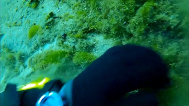 фридайвинг озеро Вад Нижегородская область смотреть онлайн