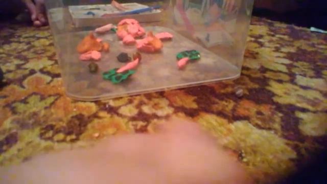 Продолжение готовки к празднику день рождения котика !!! 3серия 1сезон #3 0+ смотреть онлайн