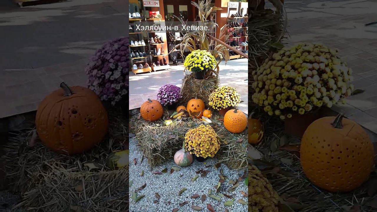 Ужасы нашего городка 31.10.21.