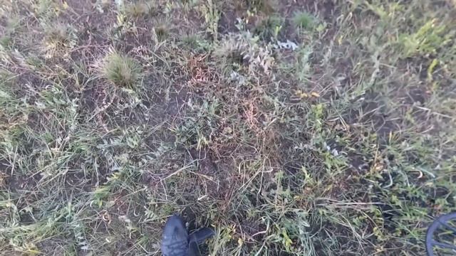 Едем далеко,Первый Катькин пятак)))).....(Minelab Equinox 600) смотреть онлайн