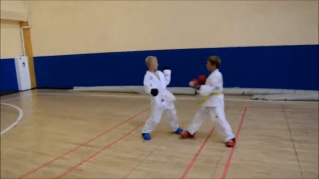 Тренировка тхэквондо Федерация тхэквондо Севастополя смотреть онлайн