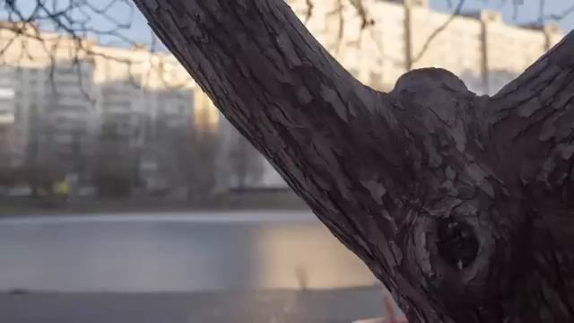 НАСТАВЛЕНИЯ. Чем человек старее... Под дурное влияние попасть легче. Святой Паисий Афонский. смотреть онлайн