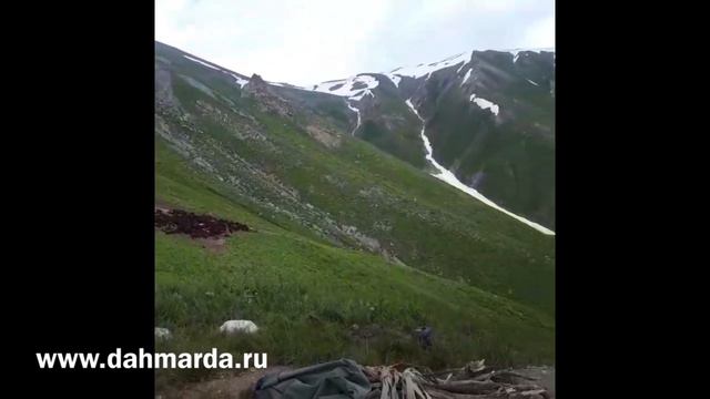 Гиссарские овцы Ходжимирзокарима, пастбище Кутанкул. 31.07.20 смотреть онлайн