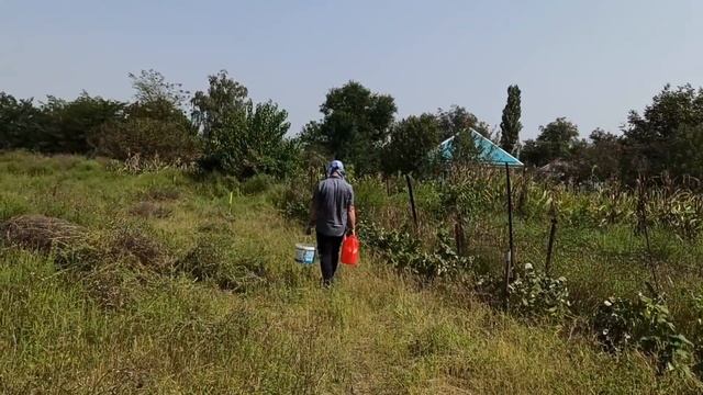 Новый диван // Вода в доме // Посадили малину смотреть онлайн