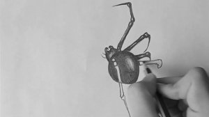 Как нарисовать паука/3D паук