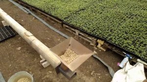 Отопление в теплице горелкой на дровесных пеллетах