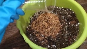 Состав грунта для аглаонем.