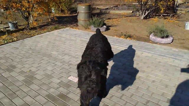 Скучаю по мальчику :-( смотреть онлайн