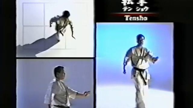 Все ката в каратэ киокушинкай смотреть онлайн