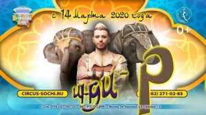 Шоу слонов "ИНДИ-РА" I Сочинский цирк