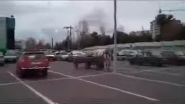 Парковка по правилам.Parking by the rules. смотреть онлайн