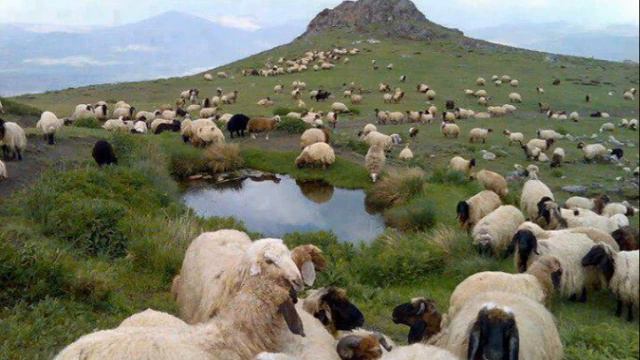 حه سه ن زيره ك / لێم زیز بوە / ئيزگە ی بە غدا смотреть онлайн